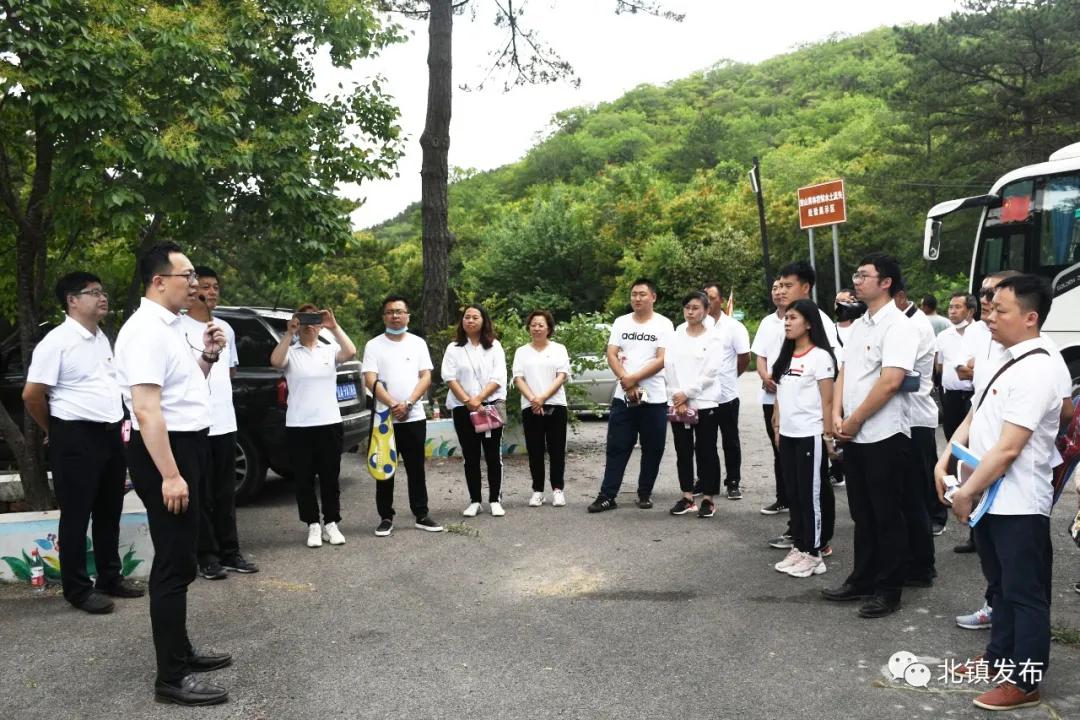 武夷山岩茶 第115页
