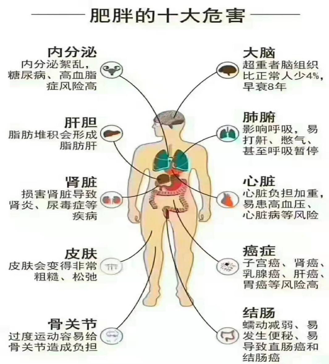 茶叶种植管理 第99页