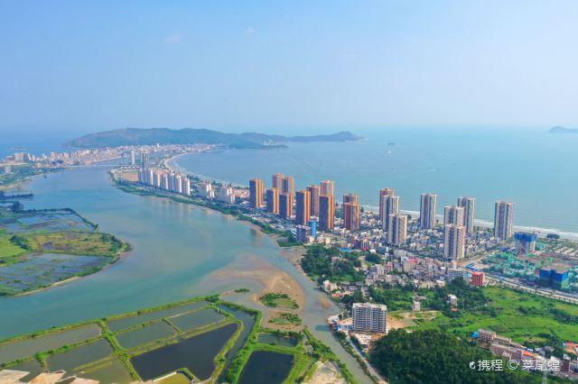仁果类水果 第76页