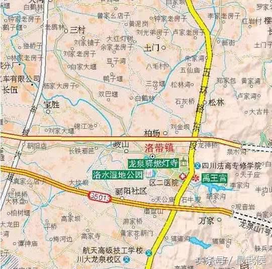 武夷山岩茶 第77页