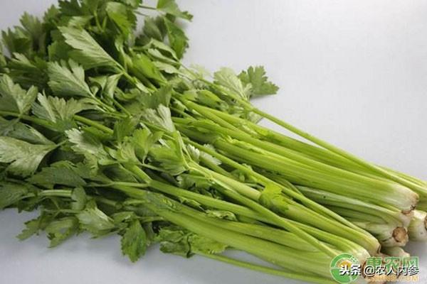 仁果类水果 第40页
