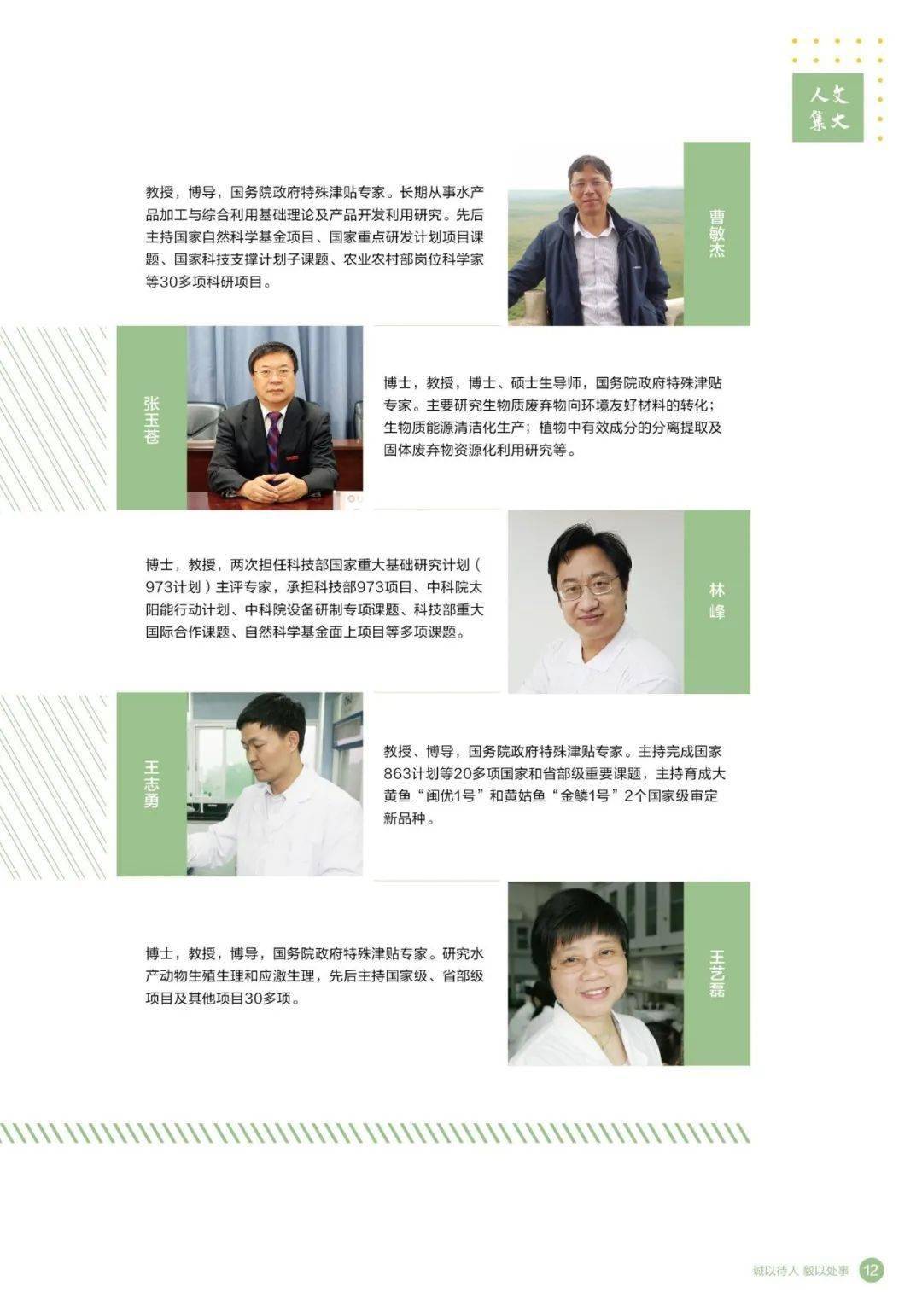仁果类水果 第38页