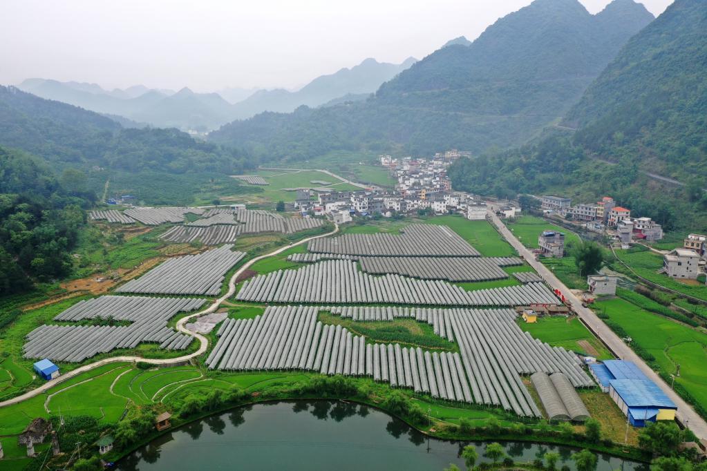 销售茶叶 第48页