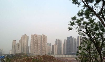 两江春城业主指南，最新资讯全面汇总与获取步骤